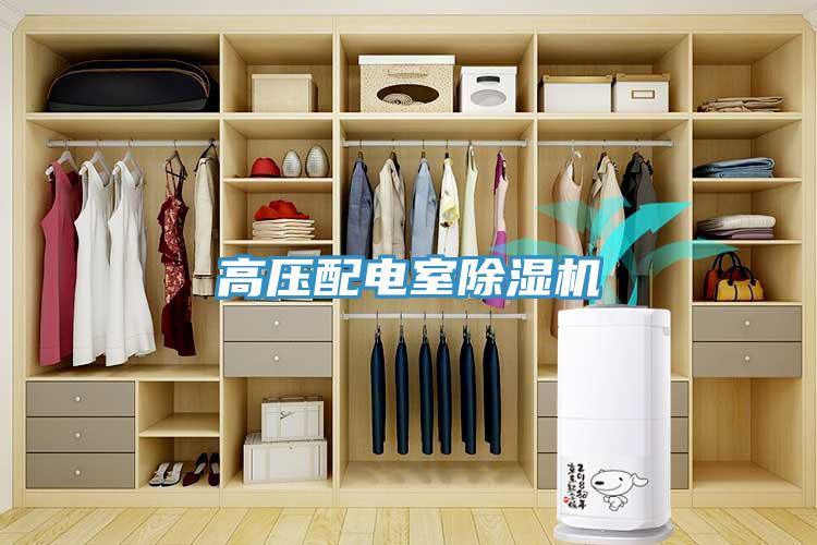 高壓配電室除濕機(jī)