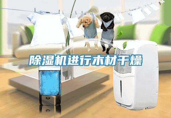 除濕機進行木材干燥