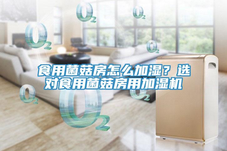 食用菌菇房怎么加濕？選對食用菌菇房用加濕機