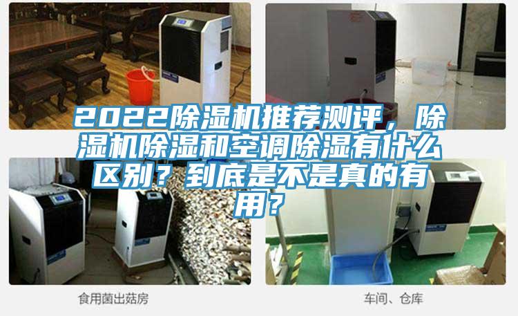 2022除濕機推薦測評，除濕機除濕和空調除濕有什么區(qū)別？到底是不是真的有用？
