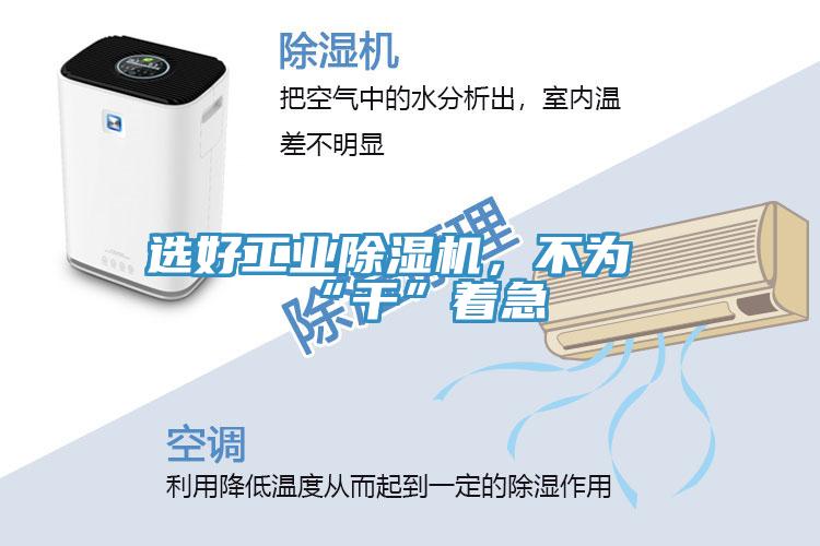 選好工業(yè)除濕機(jī)，不為“干”著急