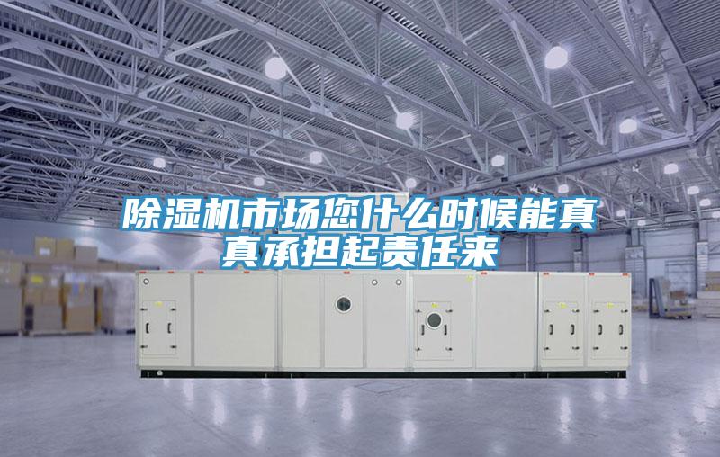 除濕機市場您什么時候能真真承擔起責任來