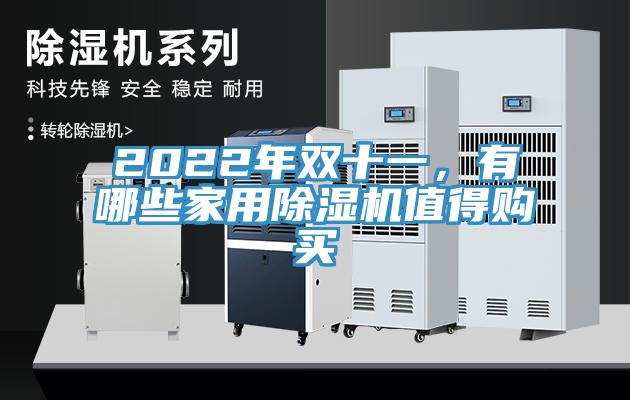 2022年雙十一，有哪些家用除濕機(jī)值得購買
