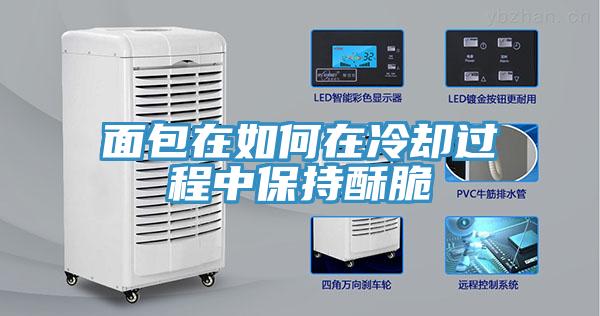 面包在如何在冷卻過(guò)程中保持酥脆