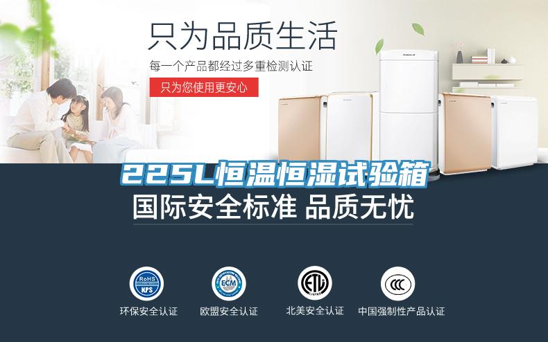 225L恒溫恒濕試驗箱