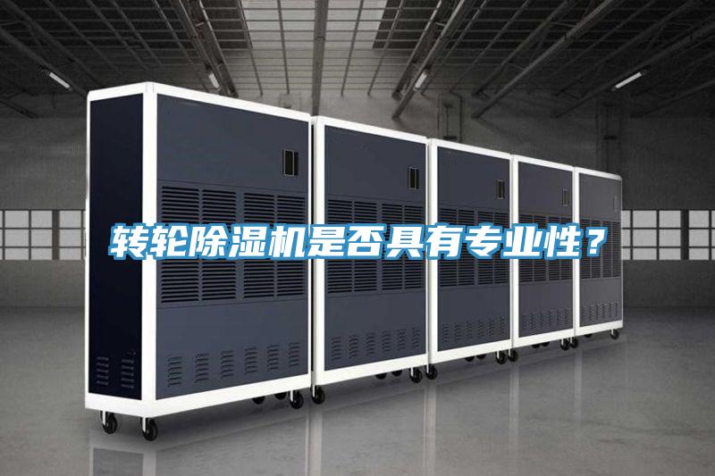 轉(zhuǎn)輪除濕機(jī)是否具有專業(yè)性？