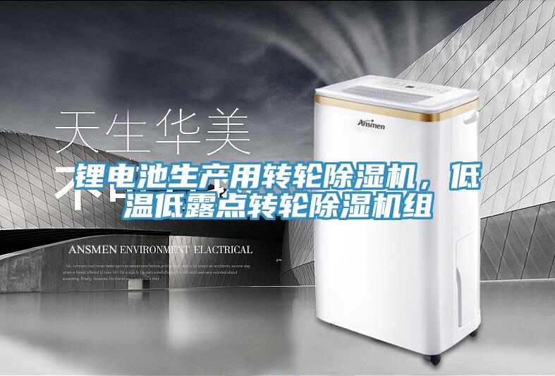 鋰電池生產(chǎn)用轉(zhuǎn)輪除濕機(jī)，低溫低露點轉(zhuǎn)輪除濕機(jī)組