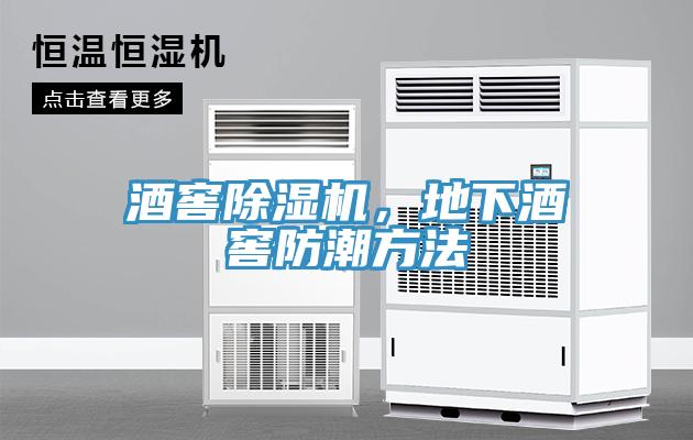 酒窖除濕機(jī)，地下酒窖防潮方法