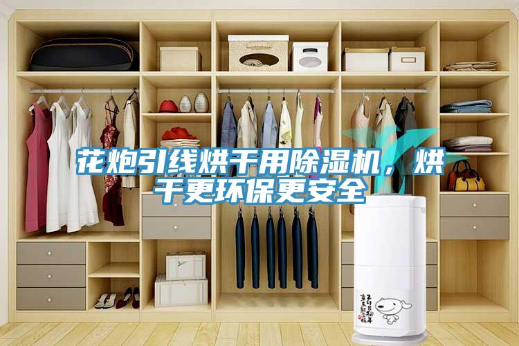 花炮引線烘干用除濕機(jī)，烘干更環(huán)保更安全