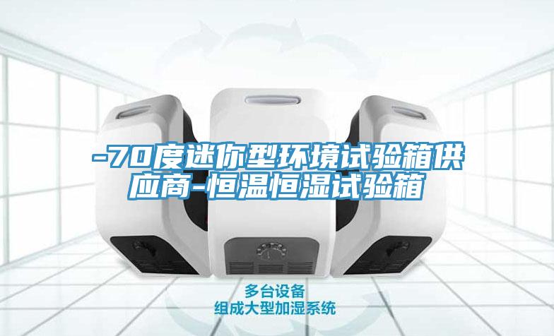 -70度迷你型環(huán)境試驗箱供應(yīng)商-恒溫恒濕試驗箱