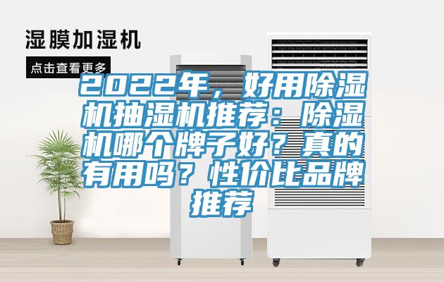 2022年，好用除濕機抽濕機推薦：除濕機哪個牌子好？真的有用嗎？性價比品牌推薦