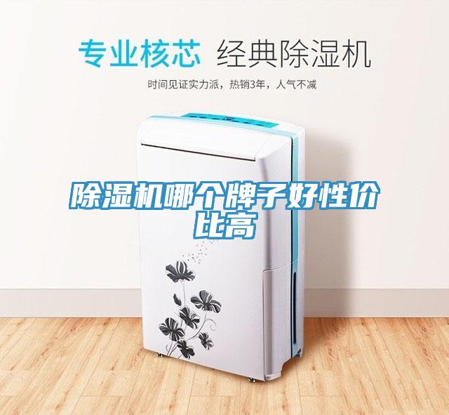 除濕機哪個牌子好性價比高