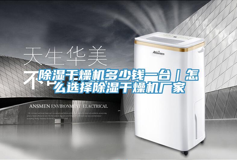 除濕干燥機多少錢一臺｜怎么選擇除濕干燥機廠家