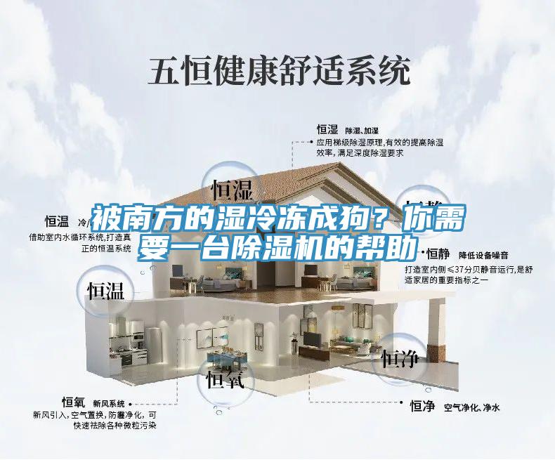 被南方的濕冷凍成狗？你需要一臺(tái)除濕機(jī)的幫助