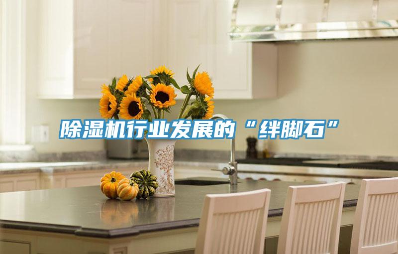 除濕機行業(yè)發(fā)展的“絆腳石”