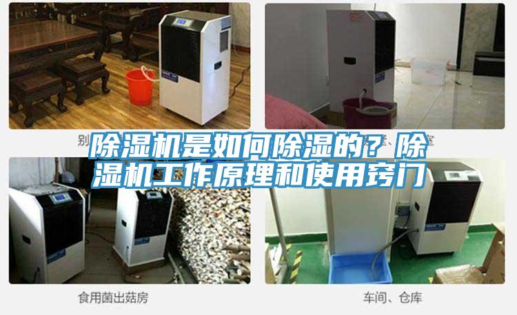除濕機(jī)是如何除濕的？除濕機(jī)工作原理和使用竅門