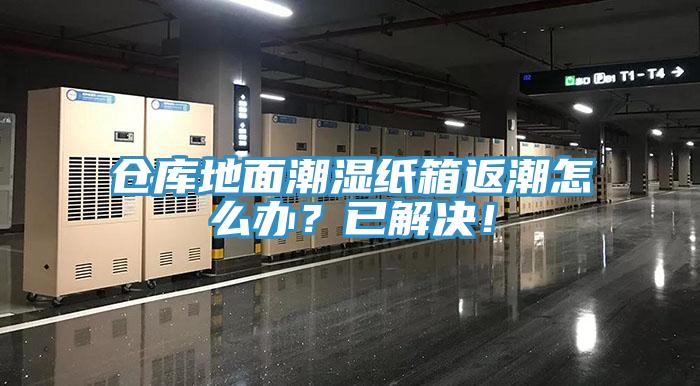 倉庫地面潮濕紙箱返潮怎么辦？已解決！
