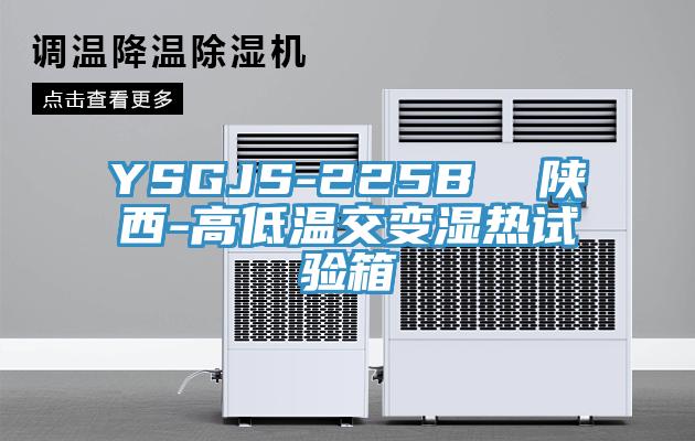 YSGJS-225B  陜西-高低溫交變濕熱試驗(yàn)箱