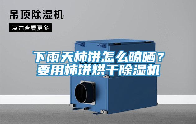 下雨天柿餅怎么晾曬？要用柿餅烘干除濕機(jī)