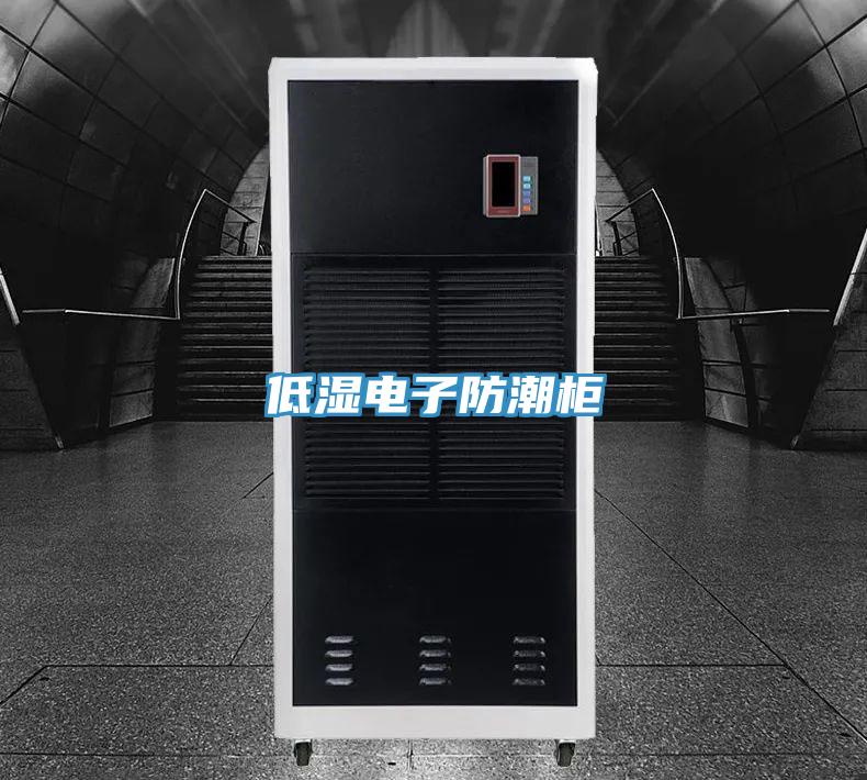 低濕電子防潮柜