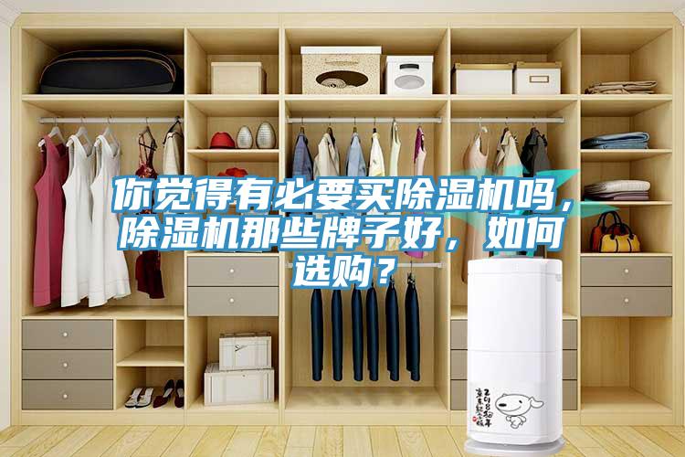 你覺得有必要買除濕機嗎，除濕機那些牌子好，如何選購？