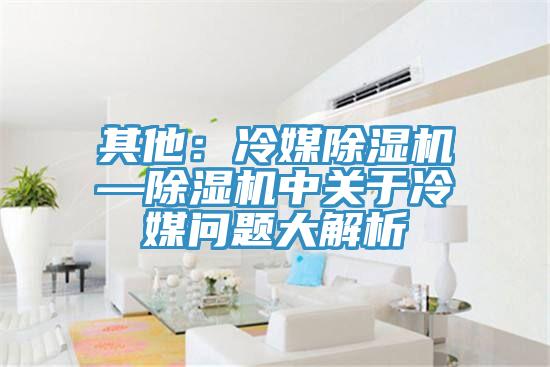 其他:冷媒除濕機—除濕機中關(guān)于冷媒問題大解析