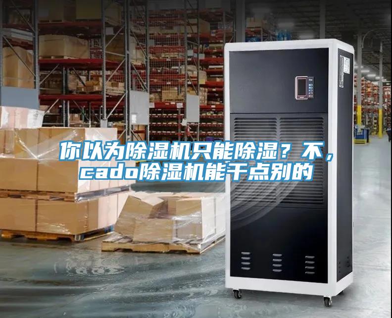 你以為除濕機(jī)只能除濕？不，cado除濕機(jī)能干點(diǎn)別的