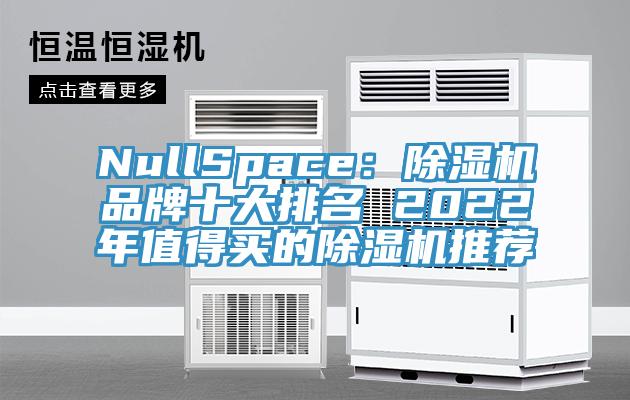 NullSpace：除濕機(jī)品牌十大排名 2022年值得買(mǎi)的除濕機(jī)推薦