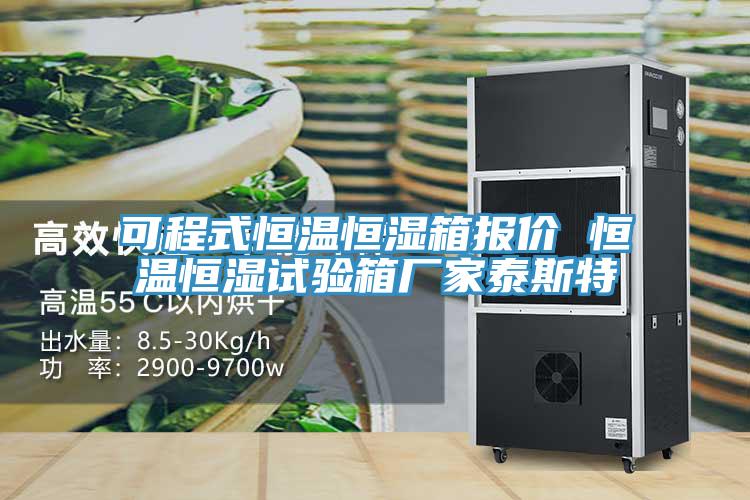 可程式恒溫恒濕箱報價 恒溫恒濕試驗(yàn)箱廠家泰斯特
