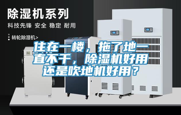 住在一樓，拖了地一直不干，除濕機好用還是吹地機好用？