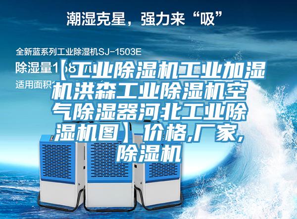 【工業(yè)除濕機(jī)工業(yè)加濕機(jī)洪森工業(yè)除濕機(jī)空氣除濕器河北工業(yè)除濕機(jī)圖】價格,廠家,除濕機(jī)