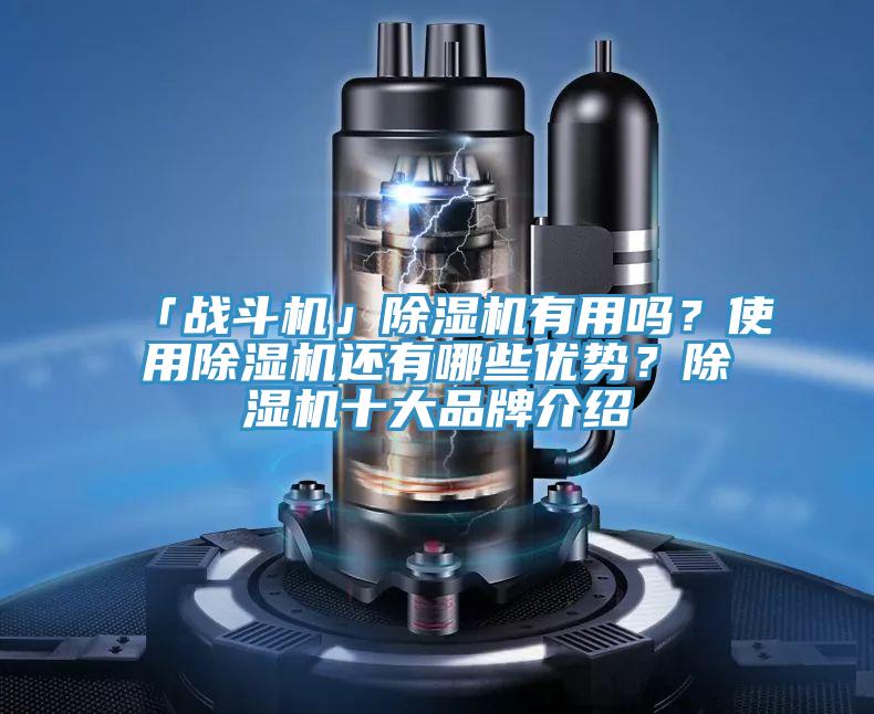 「戰(zhàn)斗機(jī)」除濕機(jī)有用嗎？使用除濕機(jī)還有哪些優(yōu)勢(shì)？除濕機(jī)十大品牌介紹