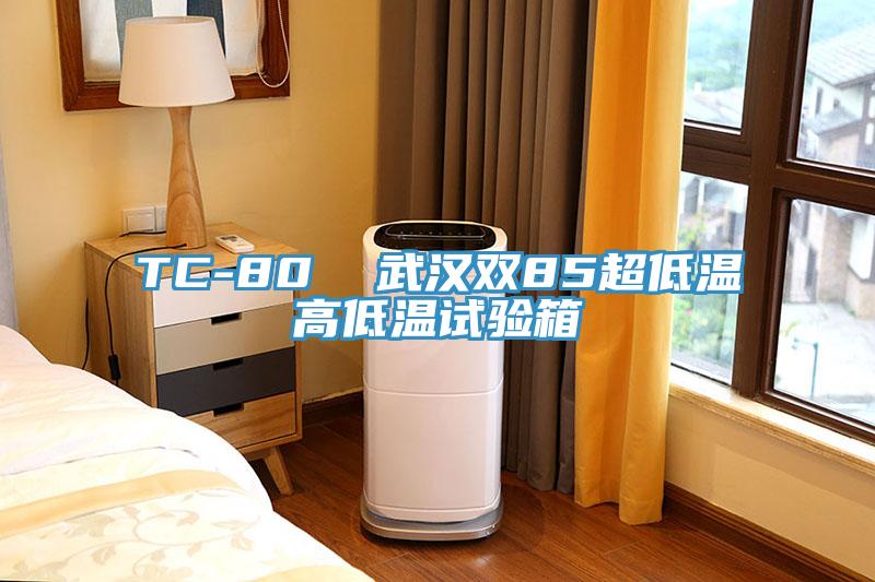 TC-80  武漢雙85超低溫高低溫試驗(yàn)箱