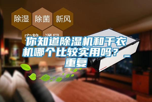你知道除濕機(jī)和干衣機(jī)哪個比較實(shí)用嗎？_重復(fù)