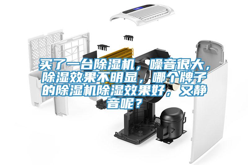 買了一臺除濕機，噪音很大，除濕效果不明顯，哪個牌子的除濕機除濕效果好，又靜音呢？