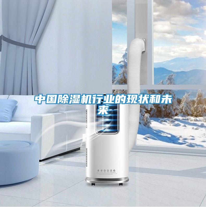 中國除濕機行業(yè)的現(xiàn)狀和未來