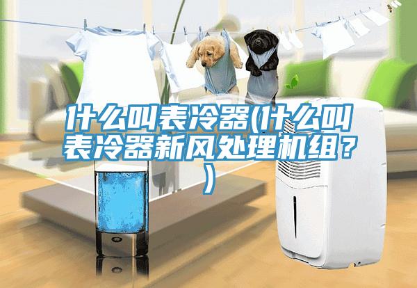 什么叫表冷器(什么叫表冷器新風處理機組？)