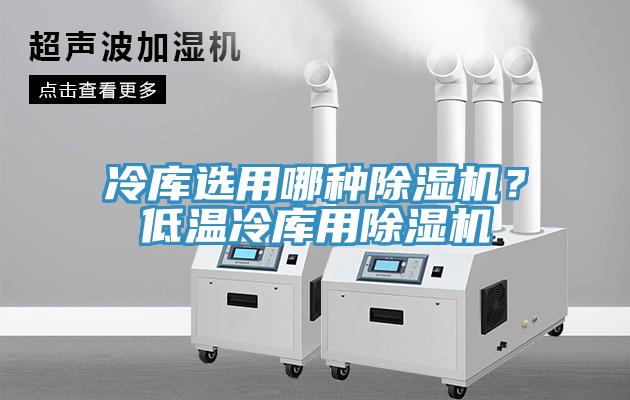 冷庫(kù)選用哪種除濕機(jī)？低溫冷庫(kù)用除濕機(jī)