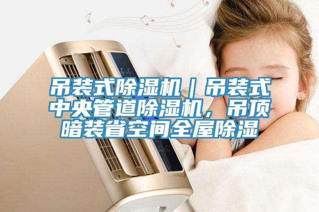 吊裝式除濕機(jī)｜吊裝式中央管道除濕機(jī)，吊頂暗裝省空間全屋除濕