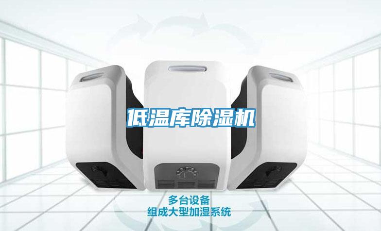 低溫庫(kù)除濕機(jī)