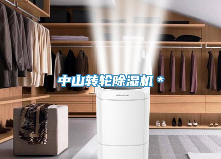 中山轉(zhuǎn)輪除濕機(jī)＊