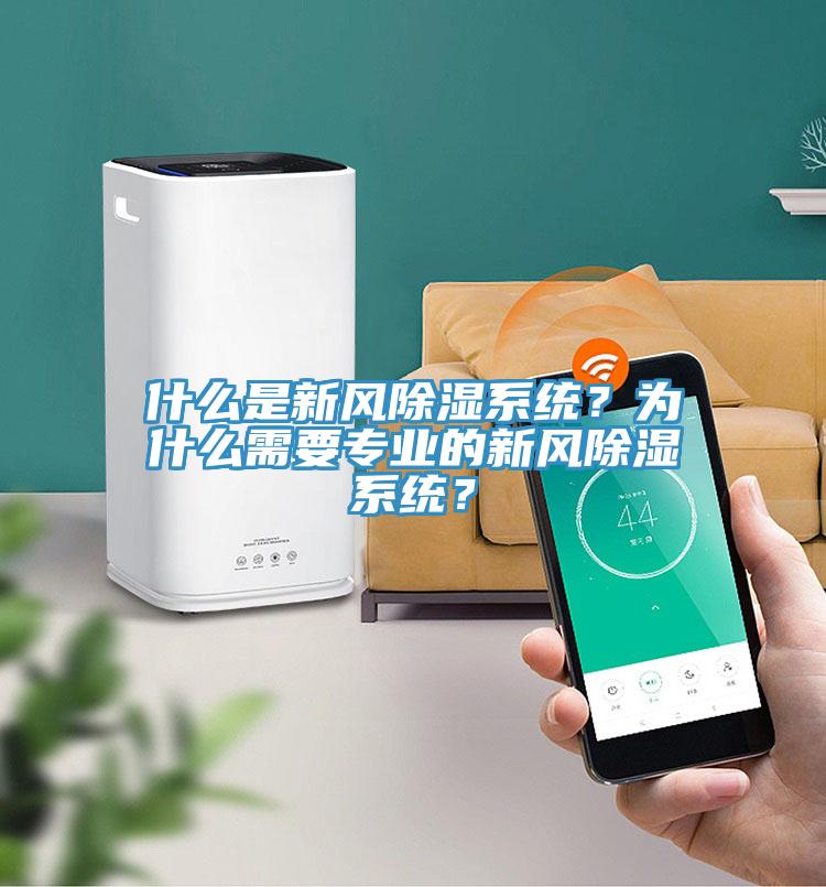 什么是新風(fēng)除濕系統(tǒng)？為什么需要專業(yè)的新風(fēng)除濕系統(tǒng)？