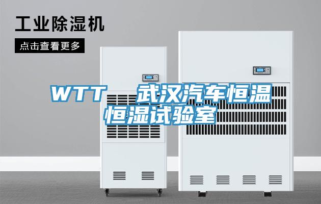 WTT  武漢汽車(chē)恒溫恒濕試驗(yàn)室