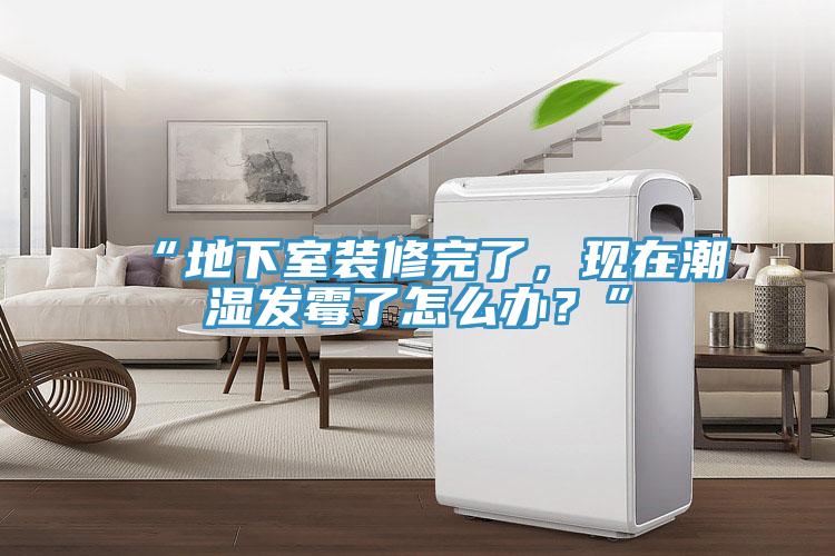 “地下室裝修完了，現(xiàn)在潮濕發(fā)霉了怎么辦？”