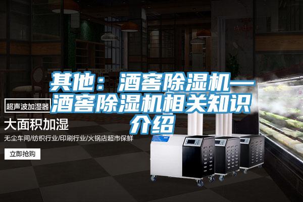 其他：酒窖除濕機(jī)—酒窖除濕機(jī)相關(guān)知識介紹