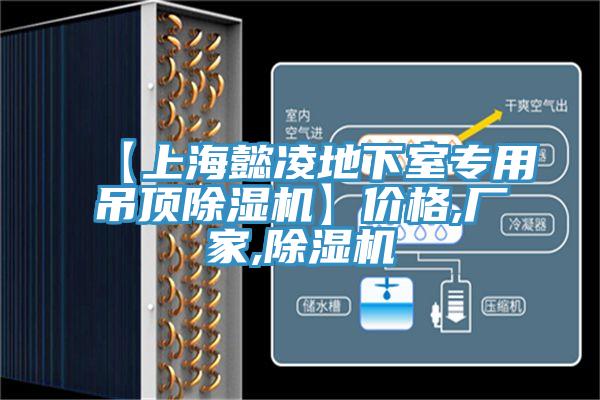 【上海懿凌地下室專用吊頂除濕機(jī)】?jī)r(jià)格,廠家,除濕機(jī)