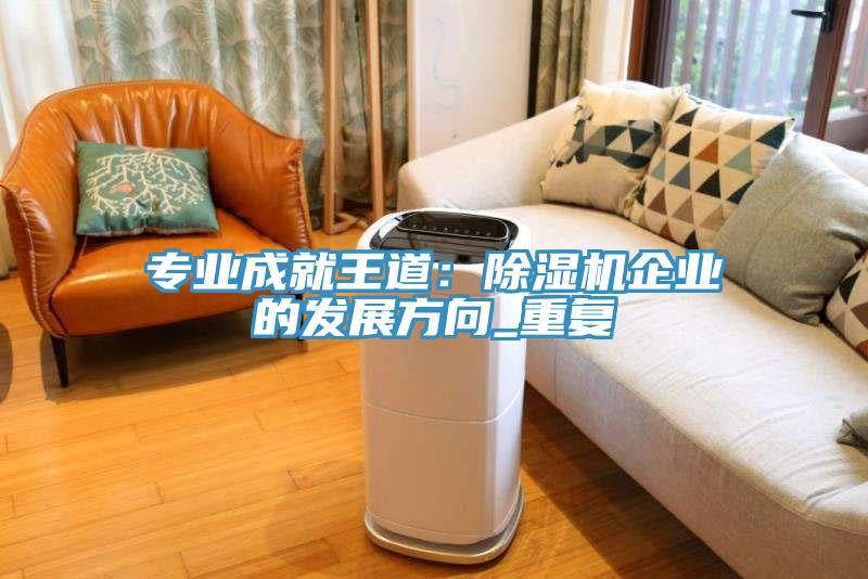 專業(yè)成就王道:除濕機(jī)企業(yè)的發(fā)展方向_重復(fù)