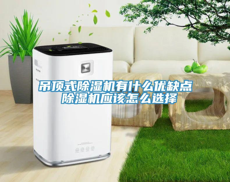 吊頂式除濕機有什么優(yōu)缺點 除濕機應(yīng)該怎么選擇