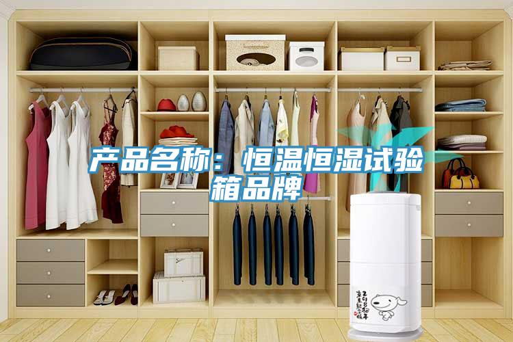 產(chǎn)品名稱:恒溫恒濕試驗箱品牌