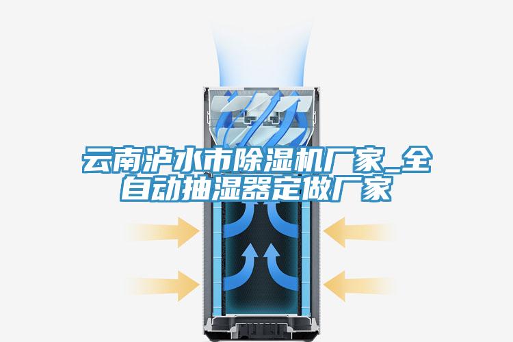 云南瀘水市除濕機(jī)廠(chǎng)家_全自動(dòng)抽濕器定做廠(chǎng)家